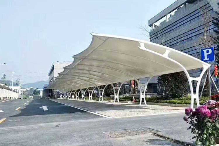 91视频H黄视频停车棚