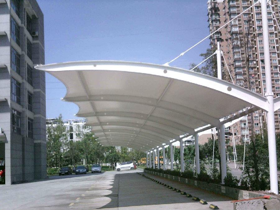 91视频H黄视频停车棚